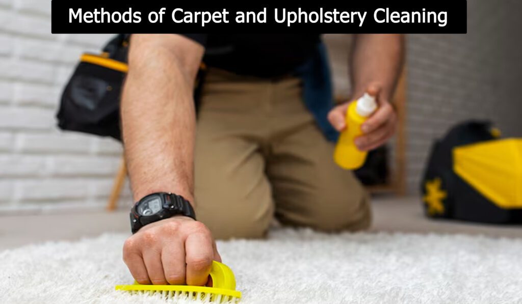 carpet and upholstery