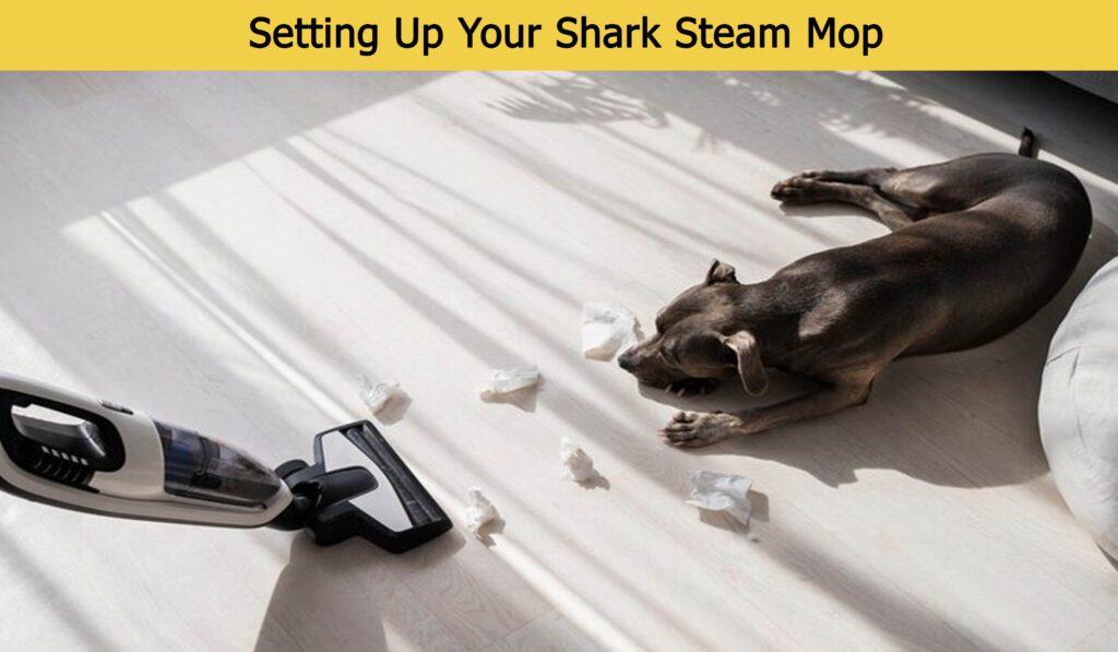 shark steam mop